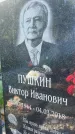 Захоронение ID 3118212