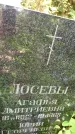 Захоронение ID 3118238