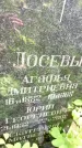 Захоронение ID 3118239