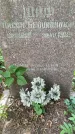 Захоронение ID 3118339