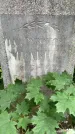 Захоронение ID 3118396