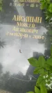 Захоронение ID 3118407