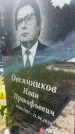 Захоронение ID 3118452