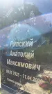 Захоронение ID 3118466