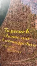 Захоронение ID 3118486