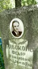 Захоронение ID 3118538
