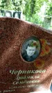 Захоронение ID 3118541