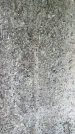 Захоронение ID 3118591