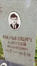 Захоронение ID 3118613