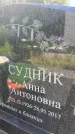 Захоронение ID 3118619