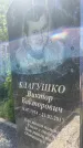 Захоронение ID 3118623