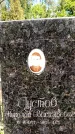 Захоронение ID 3118631