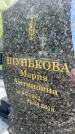 Захоронение ID 3562610
