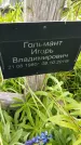Захоронение ID 3563342