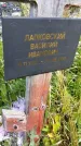 Захоронение ID 3564177