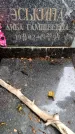 Захоронение ID 3564674