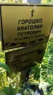 Захоронение ID 3564694