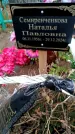 Захоронение ID 3564713