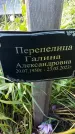 Захоронение ID 3564744