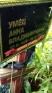 Захоронение ID 3564760