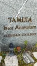 Захоронение ID 3564764