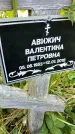 Захоронение ID 3564832