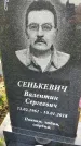 Захоронение ID 3564833