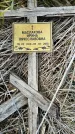 Захоронение ID 3564836