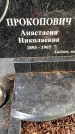 Захоронение ID 3564938