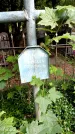 Захоронение ID 3564958