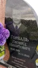 Захоронение ID 3565011