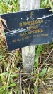 Захоронение ID 3565031