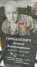 Захоронение ID 3565045