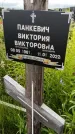Захоронение ID 3565056