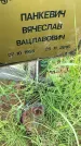 Захоронение ID 3565057