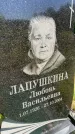 Захоронение ID 3565136