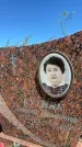 Захоронение ID 3565157
