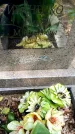 Захоронение ID 3565448