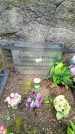 Захоронение ID 3565468