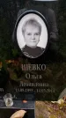 Захоронение ID 3565535
