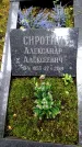 Захоронение ID 3565548