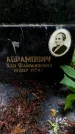 Захоронение ID 3565561