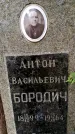 Захоронение ID 3565577