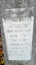 Захоронение ID 3565598