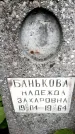 Захоронение ID 3565603
