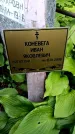 Захоронение ID 3565604