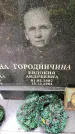 Захоронение ID 3565652