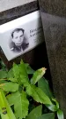 Захоронение ID 3565658
