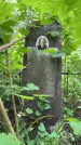 Захоронение ID 3565719