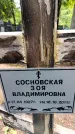 Захоронение ID 3565757